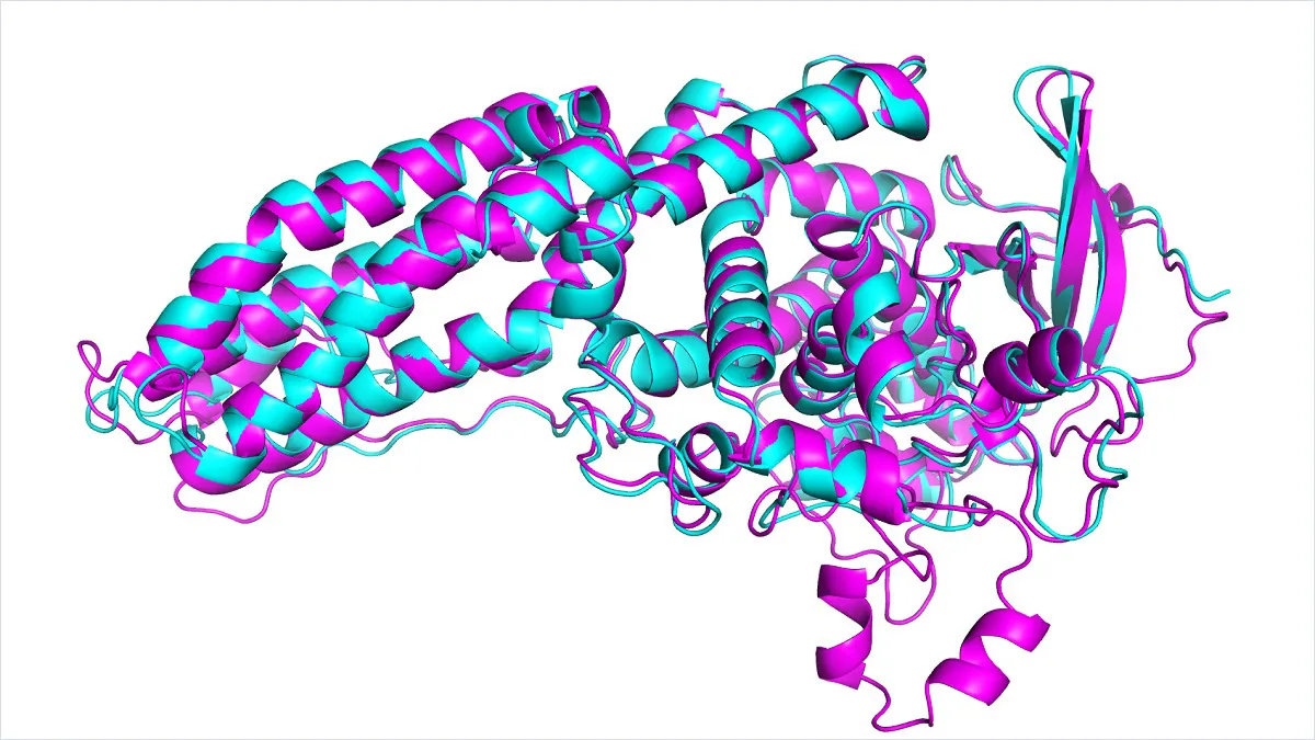 Reinforcement Learning based Fine-tuning for Protein Folding Prediction Models